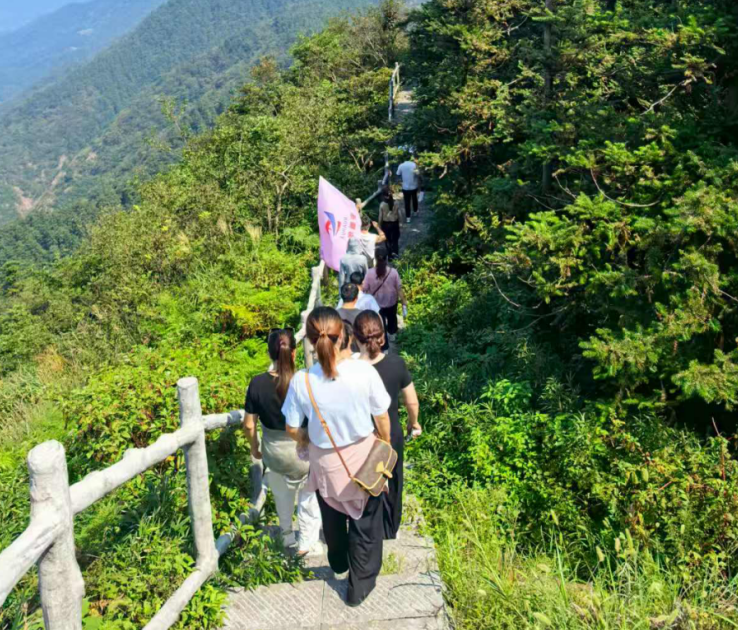 1760002295113128.png image.png