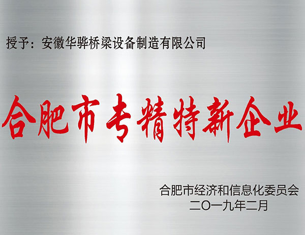 合肥市專精特新企業(yè)