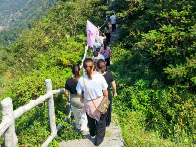 凝心聚力，共攀高峰